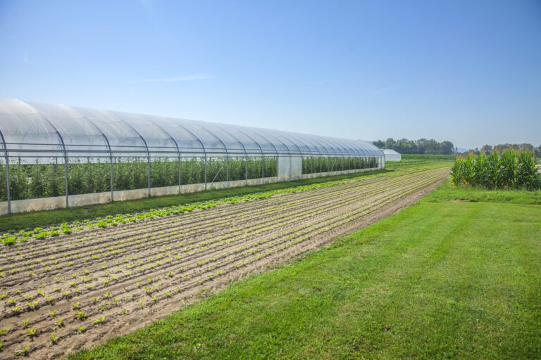 We can see fields and a greenhouse. It`s a beautiful summer day.