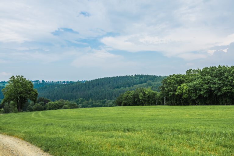 A beautiful shot of green landscape under blue sky and white clouds